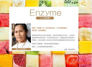 如何尋找耐高溫雙層高硼硅玻璃酵素罐及眼鏡銷售渠道的供應商